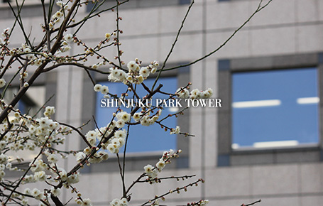 SEASON'S GREETINGS 2013 SHINJUKU PARK TOWER