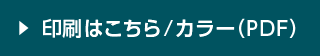 印刷はこちら/カラー（PDF）