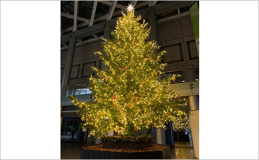 クリスマスツリー展示